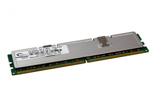 G.SKILL 1GB 240-Pin DDR2 SDRAM DDR2 667 (PC2 5300)